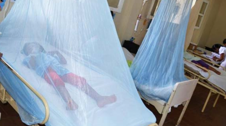 Otra niña muere por dengue; el 58%  de todos los fallecidos son menores