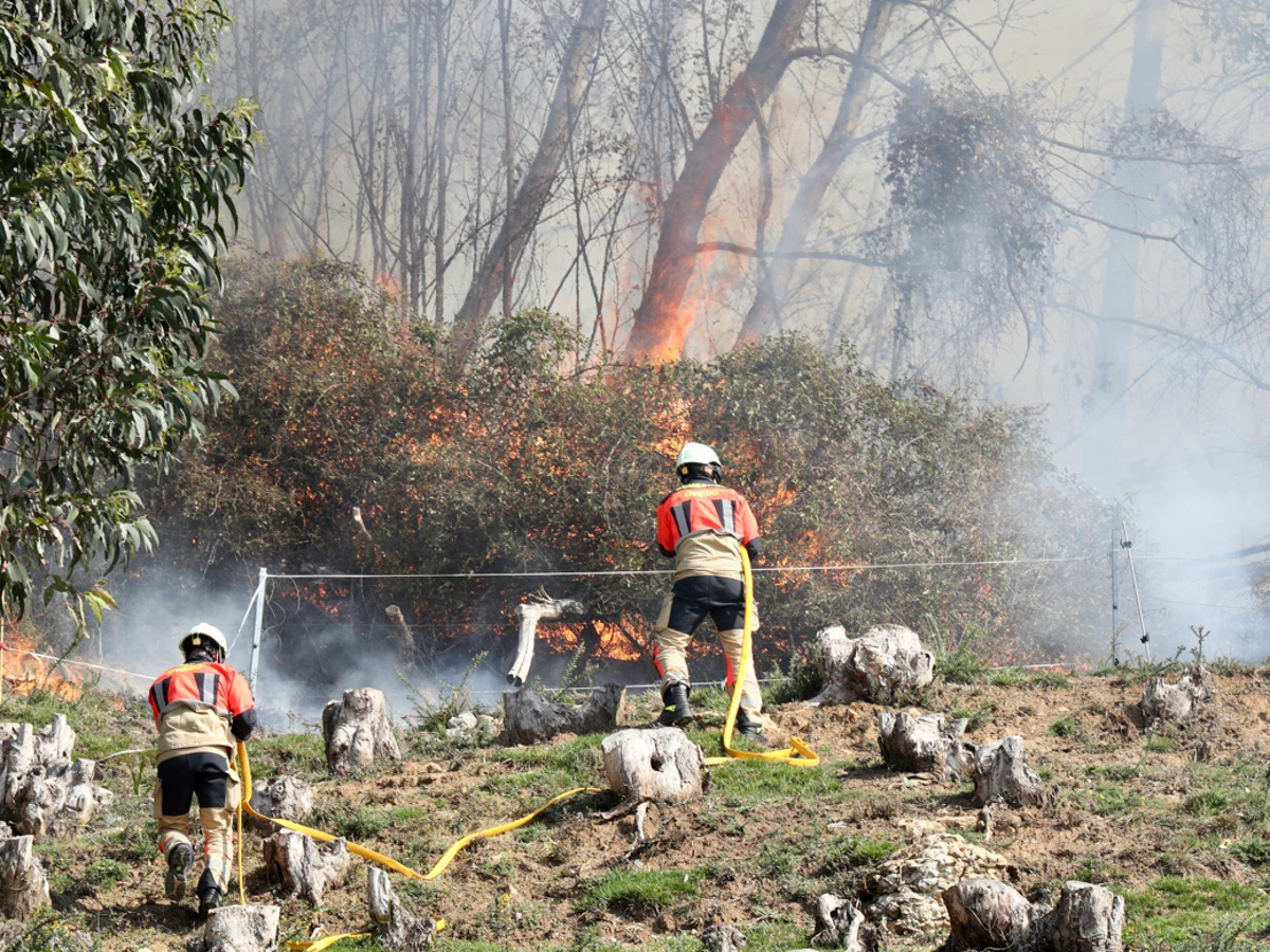 Incendios asolan Asturias y  autoridades culpan a terroristas