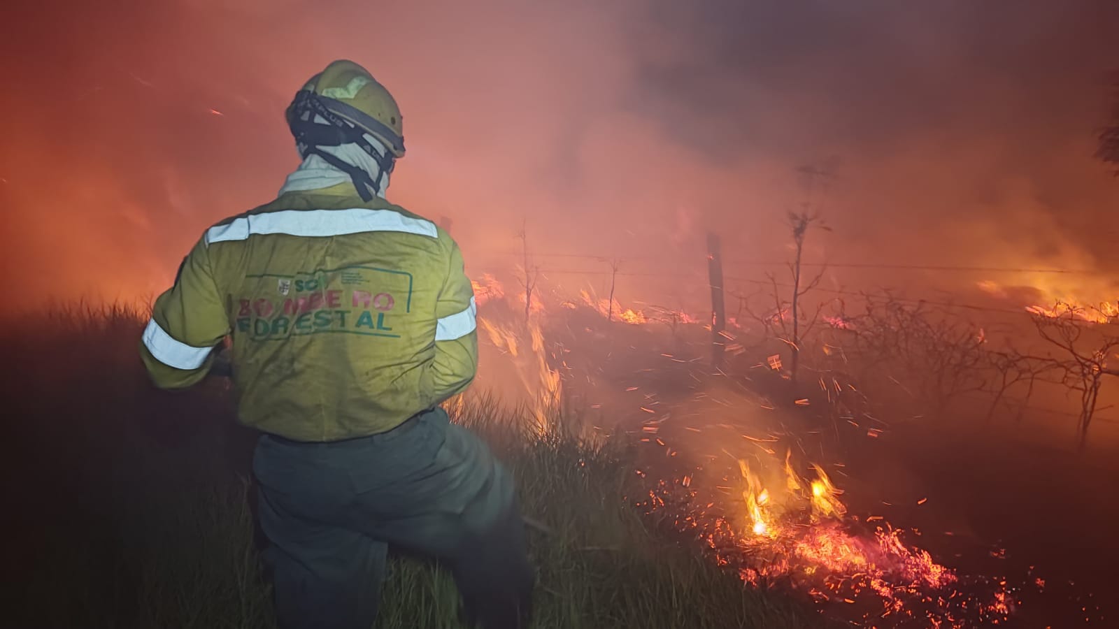 Áreas afectadas por incendios ascienden a 76.600 hectáreas
