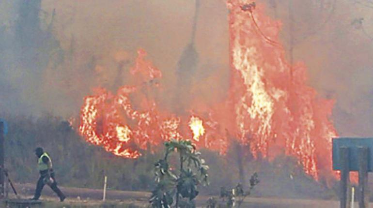 Más de 10 leyes fomentan incendios  en el país, activistas exigen abrogarlas