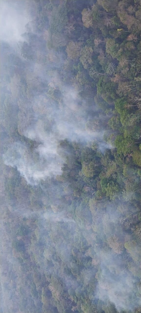 Casi 3 millones de hectáreas afectadas  por los incendios forestales en el país