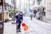 Ocho muertos y 240 heridos  por tormenta invernal en Japón