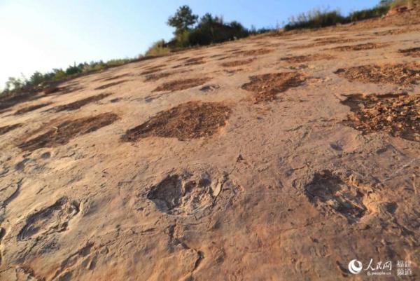 Hallaron huellas únicas  de dinosaurios en China