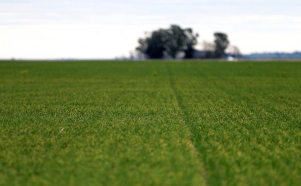 Empresarios agrícolas dialogan  con autoridades en Argentina