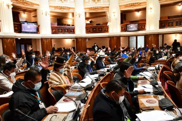 Cámara de Diputados aprueba norma y médicos se declaran en emergencia