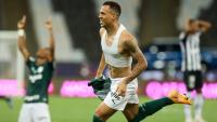 Palmeiras,  campeón por  una cabeza