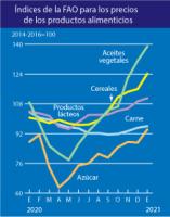 Precios de alimentos continúan en ascenso en mercado internacional