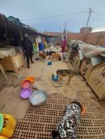 Organizan rifa benéfica para lograr un terreno que albergue a canes