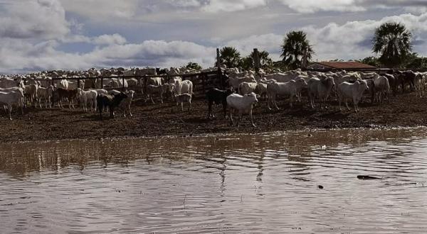 Lluvias causan daños  a cuatro departamentos