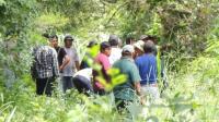 Diputados piden informe sobre avasallamientos en áreas protegidas