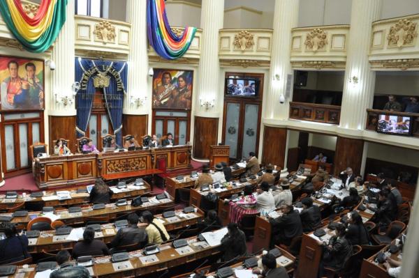 Legisladores pedirán informe  al TSE por irregularidades