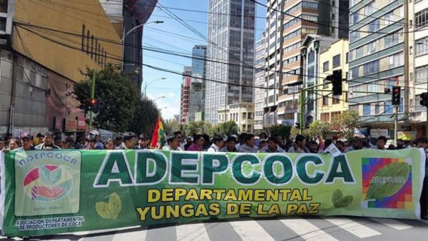 Adepcoca advierte con movilizaciones y bloqueos si funciona mercado paralelo