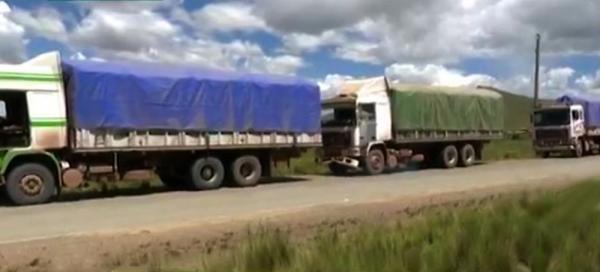 Comisan cinco camiones con mercadería de contrabando