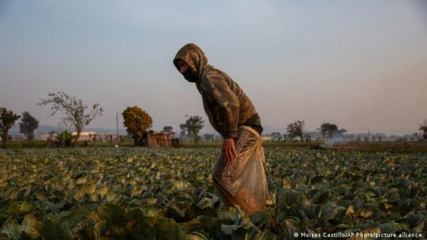 Estados Unidos ayudará a  agricultores centroamericanos