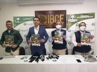 Sector forestal busca generar más de 400.000 empleos