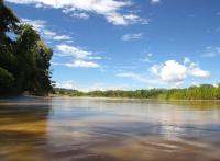 Indígenas en emergencia por avasallamiento de tierras