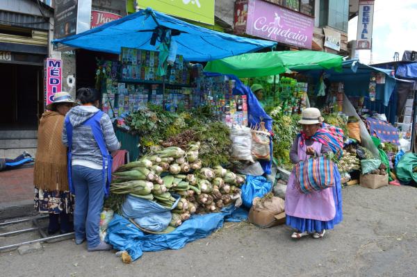 Ministerio de Salud estimula uso de medicina tradicional