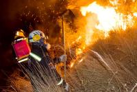 Cerca de 300 personas para impedir fogatas e incendios