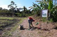 Rutas turísticas serán reabiertas en Trinidad