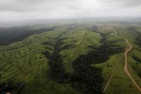 Brasil prohíbe fogatas y destina  militares para proteger amazonia