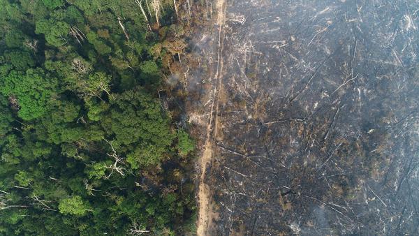 Brasil sufre mayor número de  incendios en jungla amazónica