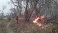 Confirman que incendio en Reserva  Forestal San Matías fue controlado