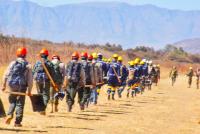 Capacitaron a brigadas de  bomberos forestales en Tarija