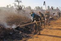 Incendio forestal en Guayaramerín es sofocado por efectivos navales