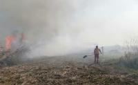 Incendios forestales en Beni  aumentaron desde junio