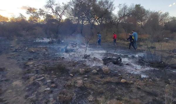 Incendio forestal arrasó 50 hectáreas de pastizales