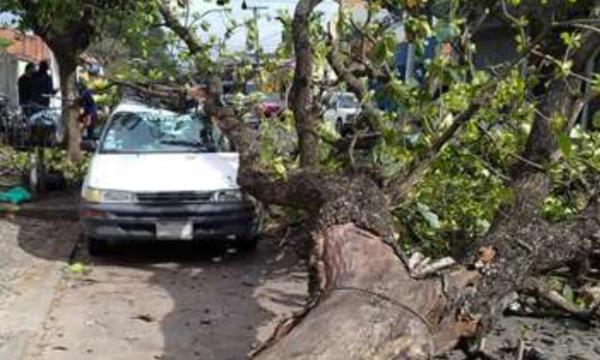 Ráfagas de viento causan estragos en zonas cruceñas