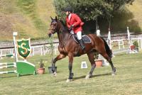 En juego una plaza al mundial de hipismo