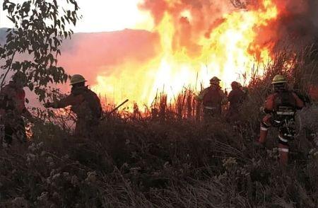 San Matías registra el primer fallecido por incendios forestales