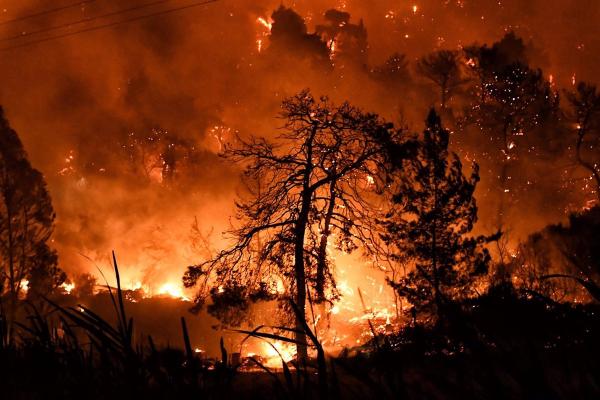 Situación de incendios en Grecia  y Turquía podría darse en España