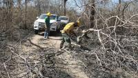 Incendio Forestal en San Matías se extiende a lo largo de 15 km