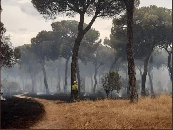 Comisión Europea pide actuar  para frenar la crisis climática