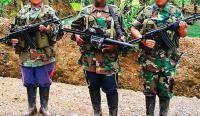 Las FARC reclutaron a 18.677 menores de edad