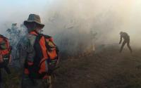 Intensifican campañas contra  incendios forestales en Beni