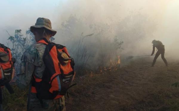 Intensifican campañas contra  incendios forestales en Beni