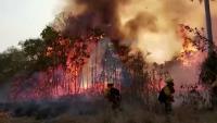 Incendios forestales afectan  a ocho municipios cruceños