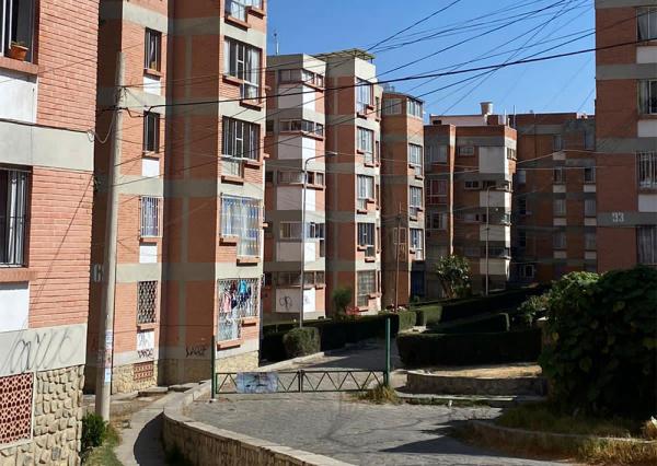 Muerte de canes y gatos preocupa  a animalistas del barrio Los Pinos