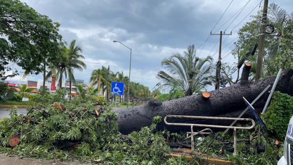 Tormenta Nora causa  destrozos en México