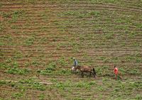 Productores piden al Gobierno  de Venezuela devolución de tierras