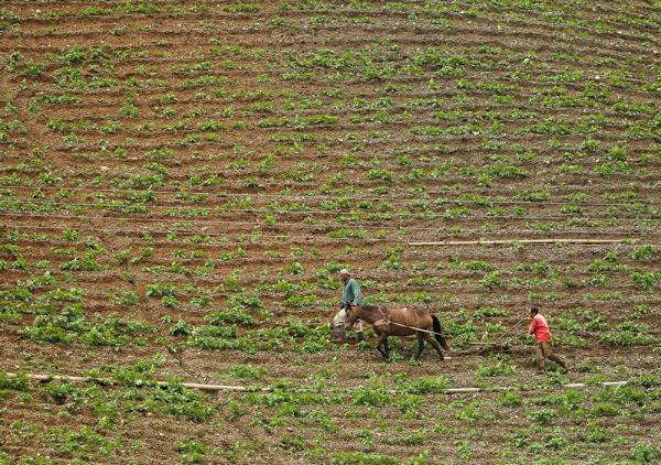 Productores piden al Gobierno  de Venezuela devolución de tierras