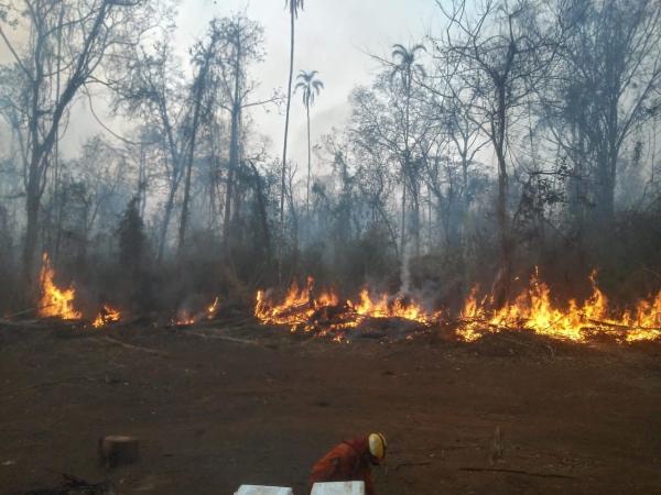 Se cuatriplican los incendios y  persiste el fuego en Santa Cruz