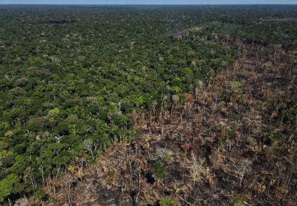 Indígenas plantean proteger el Amazonas