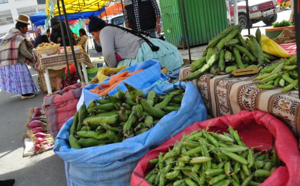 Comunidades recibirán abono para mejorar producción