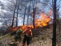 Ordenan sobrevuelo para sofocar  otro incendio en reserva El Palmar