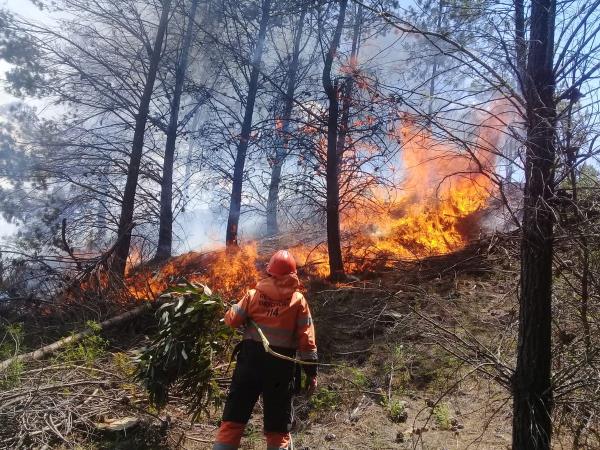 Ordenan sobrevuelo para sofocar  otro incendio en reserva El Palmar