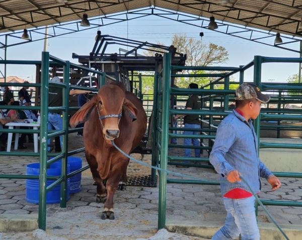 Inician actividades con sector  pecuario en muestra ferial